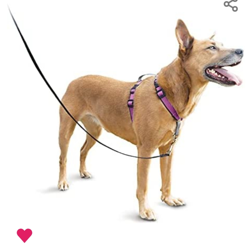 Petsafe 3in1 Dog Harness – No Pull Solution.